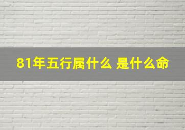 81年五行属什么 是什么命